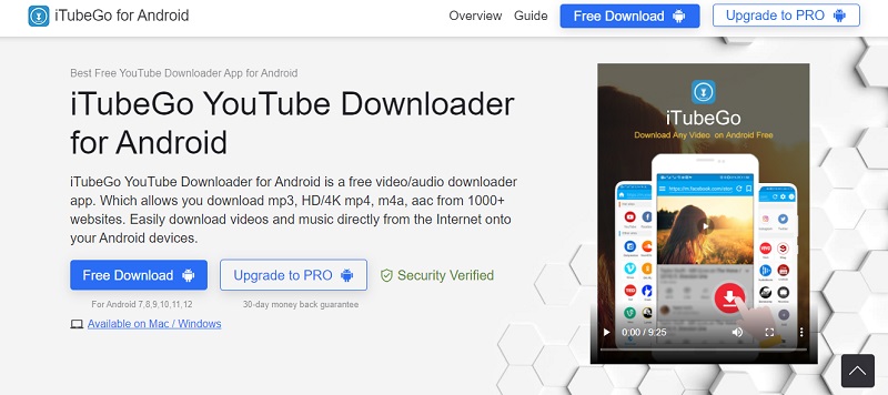 i tubego downloader for you tube