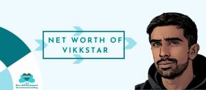 net worth of vikkstar